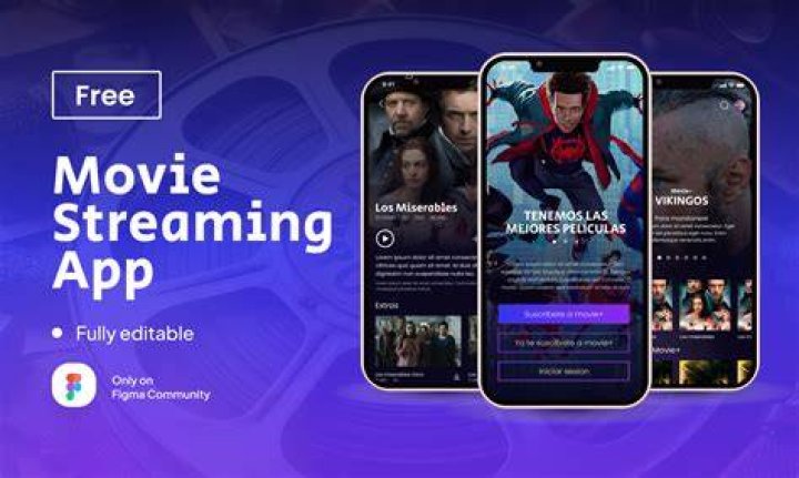 Streaming content library organization