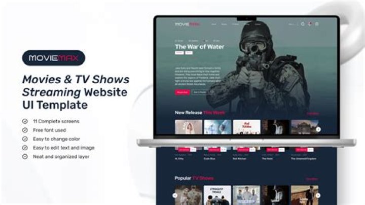 Website navigation interface