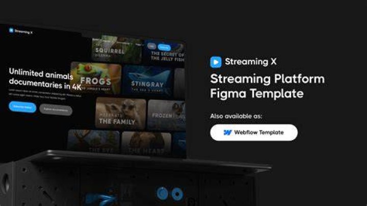 Streaming platform interface